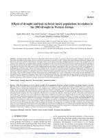 Báo cáo lâm nghiệp: 