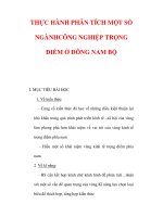 Giáo án Địa lý lớp 9 : Tên bài dạy : THỰC HÀNH PHÂN TÍCH MỘT SỐ NGÀNHCÔNG NGHIỆP TRỌNG ĐIỂM Ở ĐÔNG NAM BỘ pps