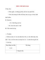 Giáo án Hóa Học lớp 12: ĐIỀU CHẾ KIM LOẠI doc