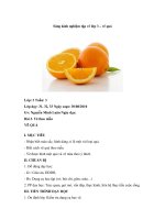 Sáng kinh nghiệm tập vẽ lớp 3 – vẽ quả pot