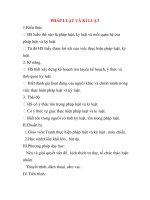 Giáo án Công Dân lớp 8: PHÁP LUẬT VÀ KỈ LUẬT doc