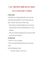 Giáo án môn Toán lớp 7 : Tên bài dạy : CÁC TRƯỜNG HỢP BẰNG NHAU CỦA TAM GIÁC VUÔNG doc