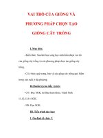 Giáo án Công nghệ lớp 7 : Tên bài dạy : VAI TRÒ CỦA GIỐNG VÀ PHƯƠNG PHÁP CHỌN TẠO GIỐNG CÂY TRỒNG pot