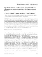 Báo cáo lâm nghiệp: 