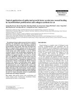 Báo cáo khoa học: 