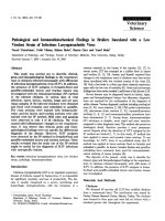 Báo cáo khoa học: 