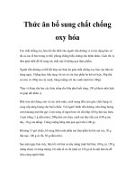 Thức ăn bổ sung chất chống oxy hóa ppsx