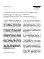 Báo cáo khoa học: 