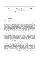 The Frontiers of Theory Of Jews and Animals Phần 4 pot