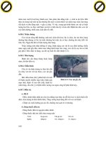 Giáo trình phân tích nguyên lý cấu tạo lớp biểu mô của vách ruột p2 pptx