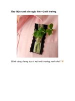 Huy hiệu xanh cho ngày bảo vệ môi trường pps