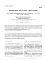 Báo cáo lâm nghiệp: 