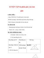 Giáo án môn Toán lớp 7 : Tên bài dạy : LUYỆN TẬP tia phân giác của tam giác pps