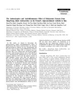 Báo cáo khoa học: 