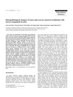 Báo cáo khoa học: 