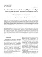 Báo cáo lâm nghiệp: 