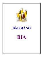 BÀI GIẢNG VỀ BIA docx