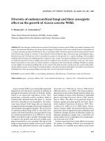 Báo cáo lâm nghiệp: 