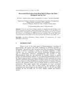 Báo cáo vật lý: 