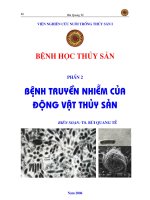 GIÁO TRÌNH BỆNH HỌC THỦY SẢN_PHẦN 2 potx