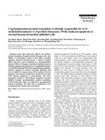 Báo cáo khoa học: 