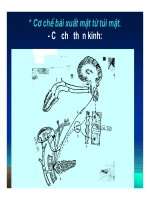 Bài giảng tiêu hóa ở dạ dày part 6 pps