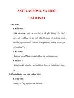 Giáo án Hóa học lớp 9 : Tên bài dạy : AXIT CACBONIC VÀ MUỐI CACBONAT doc