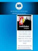 CƠ CHẾ HỖ TRỢ TÀI CHÌNH CHO DOANH NGHIỆP NHỎ VÀ VỪA TẠI VIỆT NAM HIỆN NAY