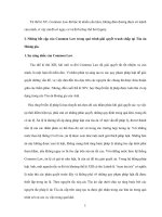 Tiểu luận về luật so sánh docx