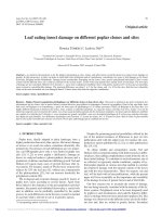 Báo cáo lâm nghiệp: 