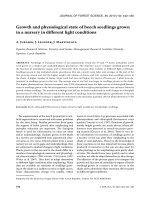 Báo cáo lâm nghiệp: 