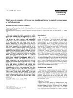 Báo cáo khoa học: 