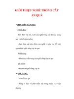 Giáo án Công nghệ lớp 9 : Tên bài dạy : GIỚI THIỆU NGHỀ TRỒNG CÂY ĂN QUẢ pps