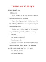 Giáo án Địa lý lớp 9 : Tên bài dạy : THƯƠNG MẠI VÀ DU LỊCH potx