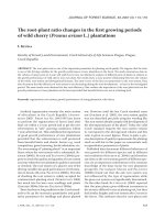 Báo cáo lâm nghiệp: 