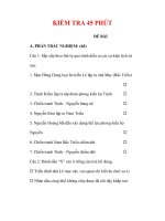 Giáo án Lịch sử lớp 7 : Tên bài dạy : KIỂM TRA 45 PHÚT pdf