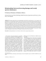 Báo cáo lâm nghiệp: 