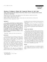 Báo cáo khoa học: 