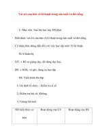 Giáo án Công Nghệ lớp 8: Vai trò của bản vẽ kĩ thuật trong sản xuất và đời sống. pptx