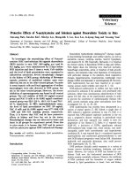 Báo cáo khoa học: 