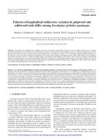 Báo cáo lâm nghiệp: 