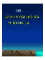 Bài giảng hấp thu các chất ở ruột non và chức năng gan part 1 doc