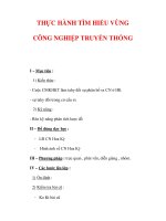 Giáo án Địa Lý 7 : Tên bài dạy : THỰC HÀNH TÌM HIỂU VÙNG CÔNG NGHIỆP TRUYỀN THỐNG doc
