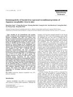 Báo cáo khoa học: 