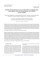 Báo cáo lâm nghiệp: 