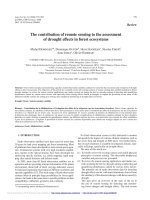 Báo cáo lâm nghiệp: 