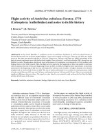 Báo cáo lâm nghiệp: 