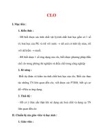 Giáo án Hóa học lớp 9 : Tên bài dạy : CLO pps