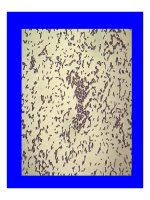 Bài giảng chẩn đoán 8à điều trị Viêm màng não part 8 pot