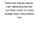 Đề tài: KIỂM SỐT NỘI BỘ TRONG CHU TRÌNH DOANH THU TẠI TỔNG CƠNG TY CƠNG NGHIỆP THỰC PHẨM ĐỒNG NAI ppt